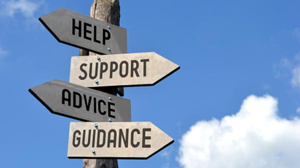 the importance of having a day trading mentor